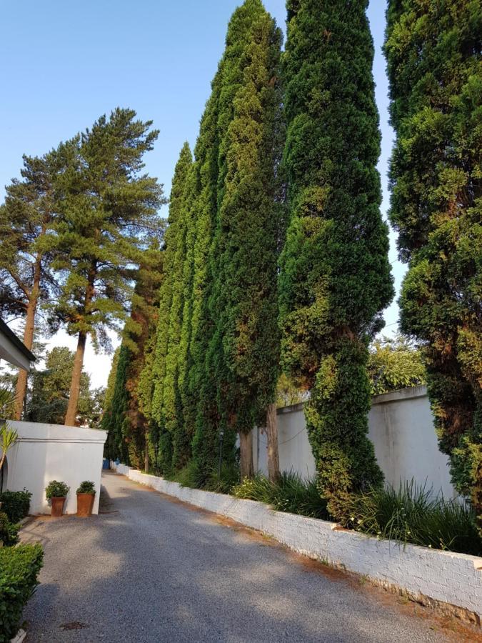 Pheasant Hill Bed And Breakfast Rietvalleirand Εξωτερικό φωτογραφία