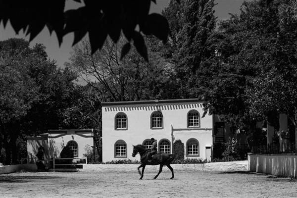 Pheasant Hill Bed And Breakfast Rietvalleirand Εξωτερικό φωτογραφία