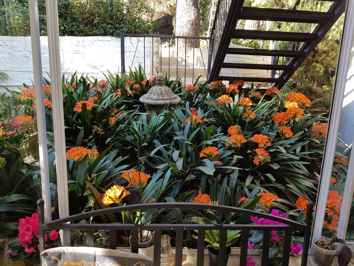 Pheasant Hill Bed And Breakfast Rietvalleirand Εξωτερικό φωτογραφία